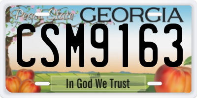 GA license plate CSM9163