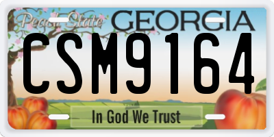 GA license plate CSM9164