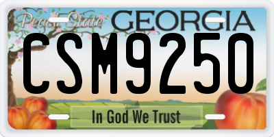 GA license plate CSM9250