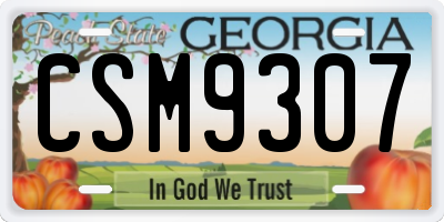 GA license plate CSM9307
