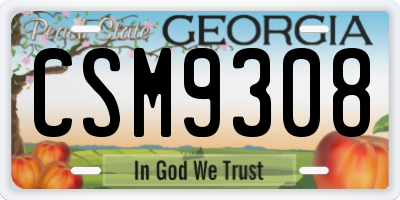 GA license plate CSM9308