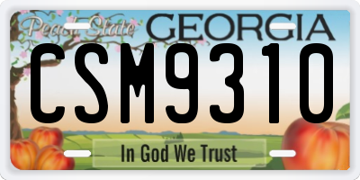 GA license plate CSM9310