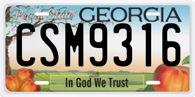 GA license plate CSM9316