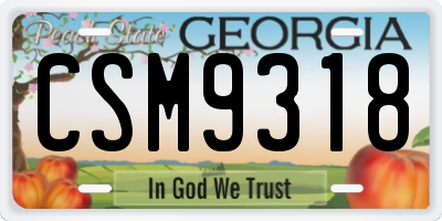 GA license plate CSM9318