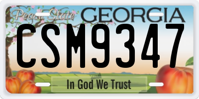 GA license plate CSM9347