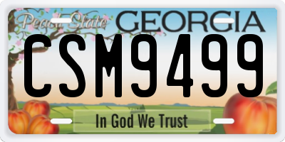 GA license plate CSM9499