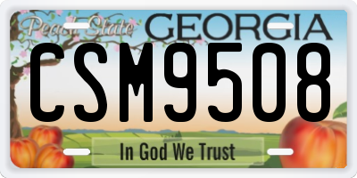GA license plate CSM9508