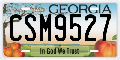 GA license plate CSM9527