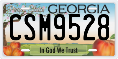 GA license plate CSM9528