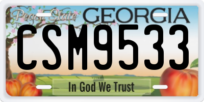 GA license plate CSM9533