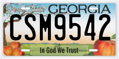 GA license plate CSM9542