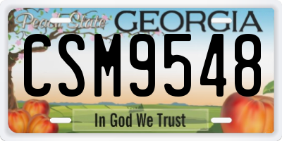 GA license plate CSM9548