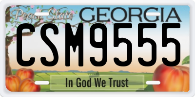 GA license plate CSM9555