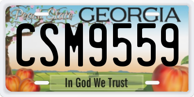 GA license plate CSM9559