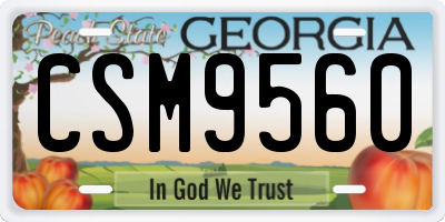 GA license plate CSM9560