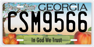 GA license plate CSM9566
