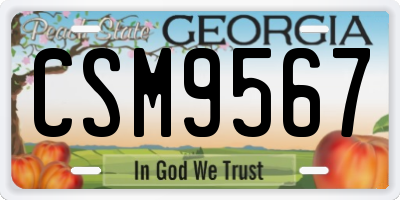 GA license plate CSM9567