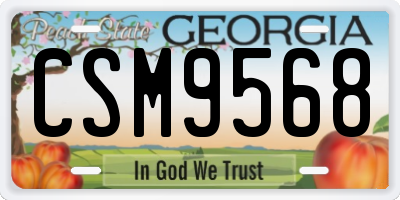 GA license plate CSM9568