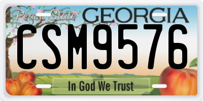 GA license plate CSM9576
