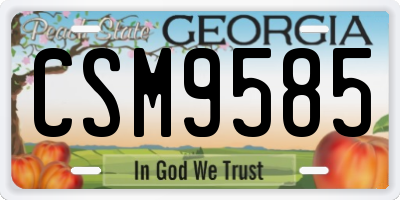 GA license plate CSM9585