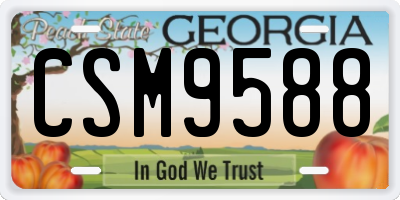 GA license plate CSM9588