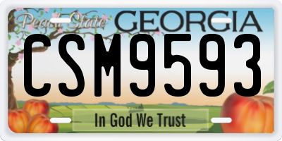 GA license plate CSM9593