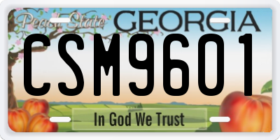 GA license plate CSM9601