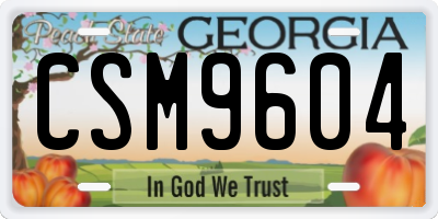GA license plate CSM9604