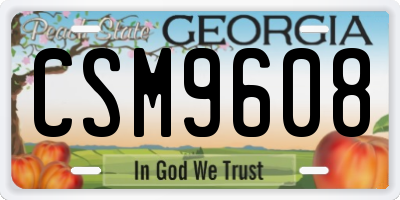 GA license plate CSM9608