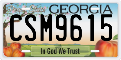 GA license plate CSM9615
