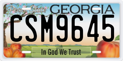 GA license plate CSM9645