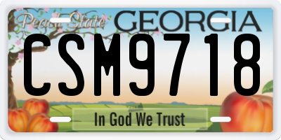 GA license plate CSM9718