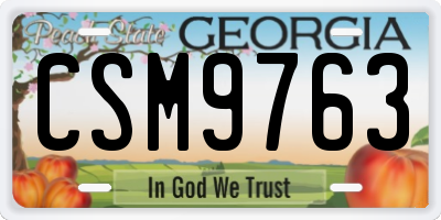 GA license plate CSM9763