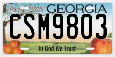GA license plate CSM9803