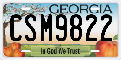 GA license plate CSM9822