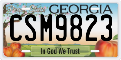 GA license plate CSM9823