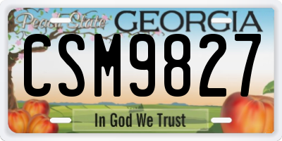 GA license plate CSM9827