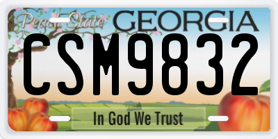 GA license plate CSM9832