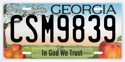 GA license plate CSM9839