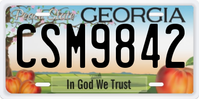 GA license plate CSM9842