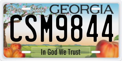 GA license plate CSM9844