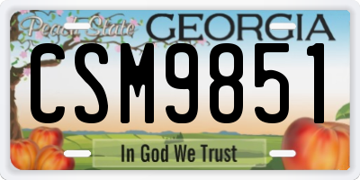 GA license plate CSM9851