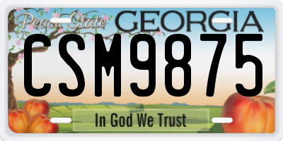 GA license plate CSM9875