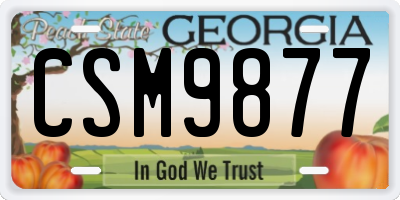 GA license plate CSM9877