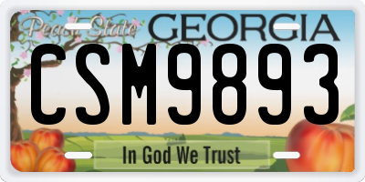 GA license plate CSM9893