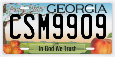 GA license plate CSM9909