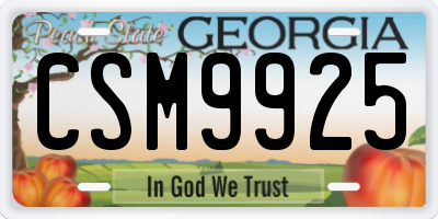 GA license plate CSM9925