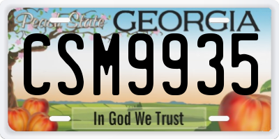 GA license plate CSM9935