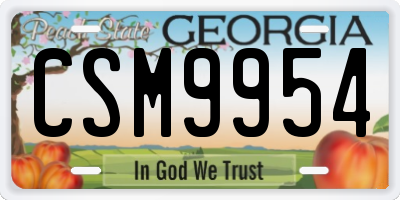 GA license plate CSM9954