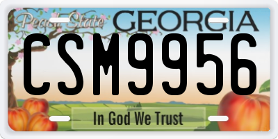 GA license plate CSM9956